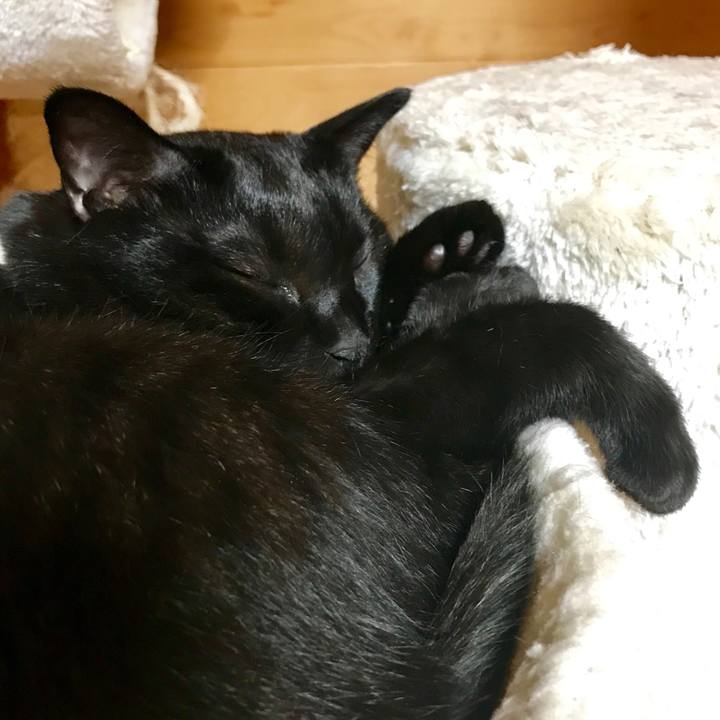 C7c64a9a 6251 4729 a0d3 d80c72d6d6dd 1527074831604