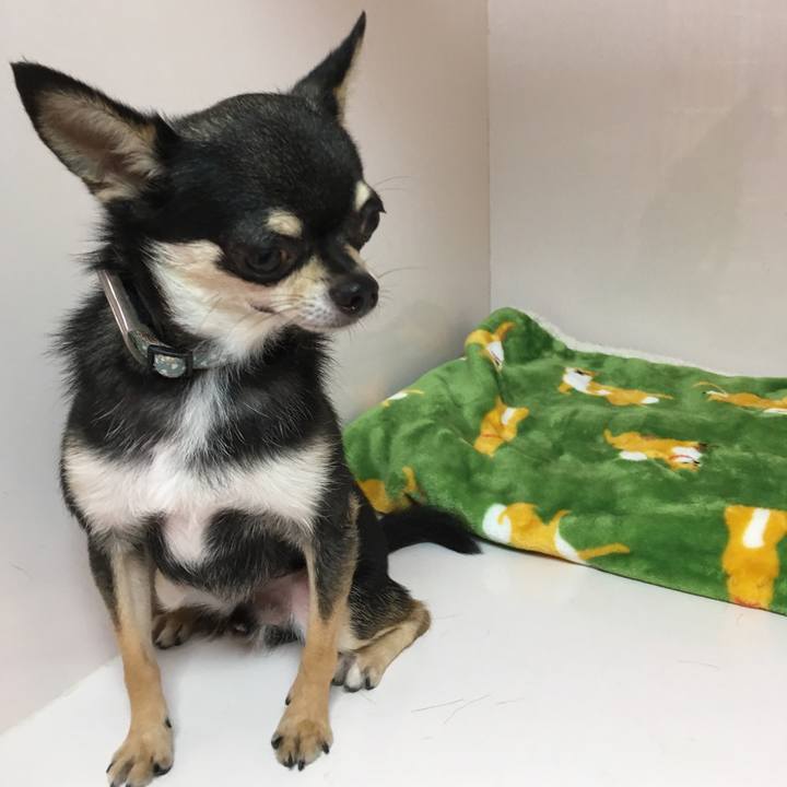 C7c65e24 3ed5 4e49 846b 32652ad62ce8 1528595295350