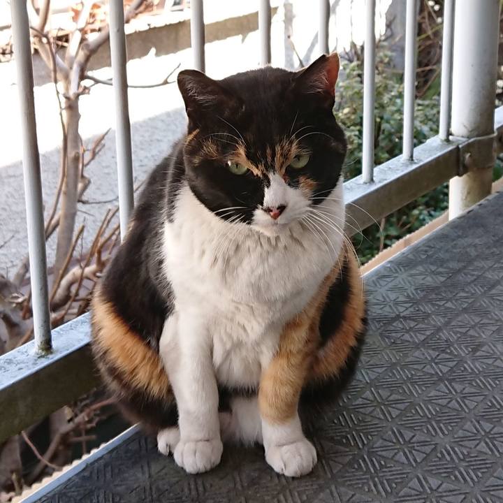 C7c66721 92bf 44a1 ae13 e14ea08d0565 1614472867477