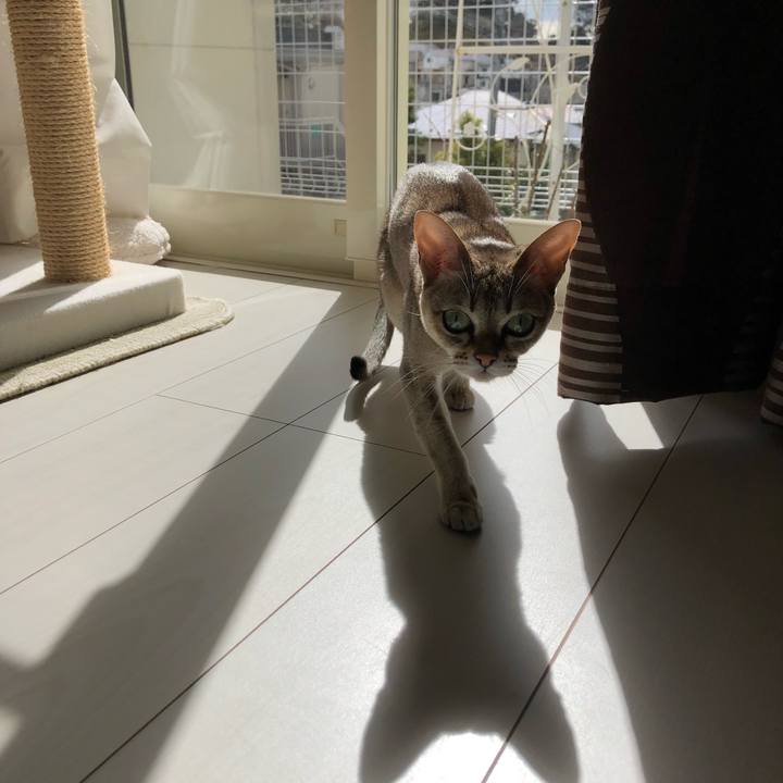 C7c6680a 0241 4dee 9e69 311becbd1836 1520732472587