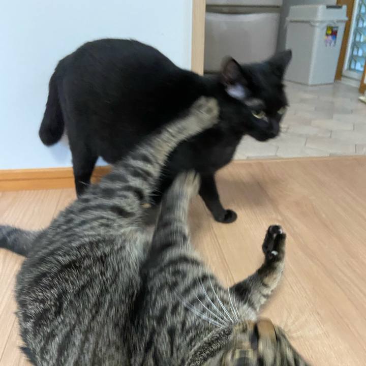 C7c66e21 3b8b 47cf 8644 2ce5b754b102 1631445230478