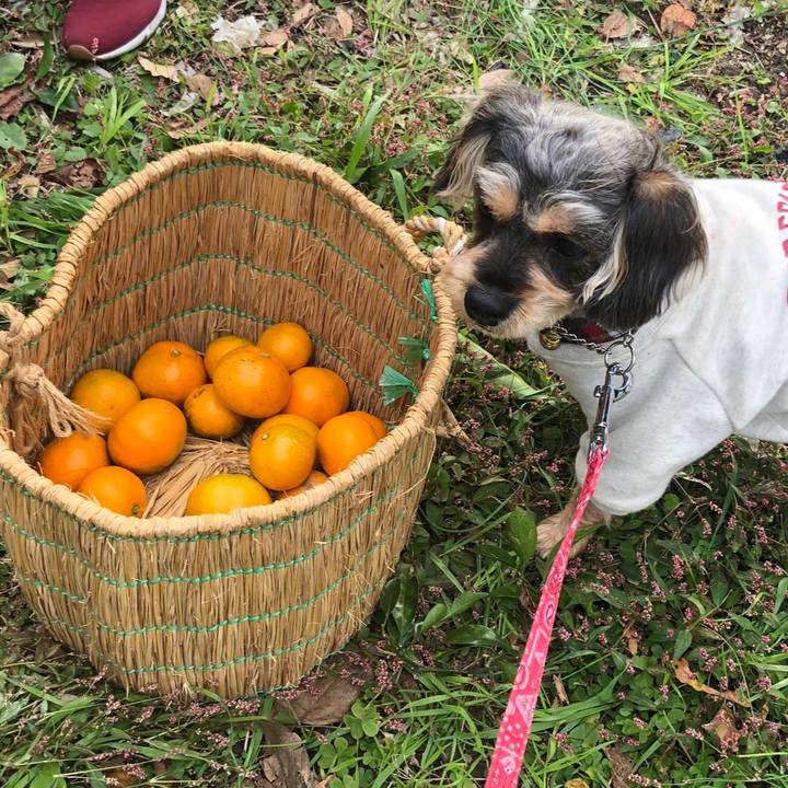 C7c67614 f802 4220 bf92 b0723acc97d2 1575181751018