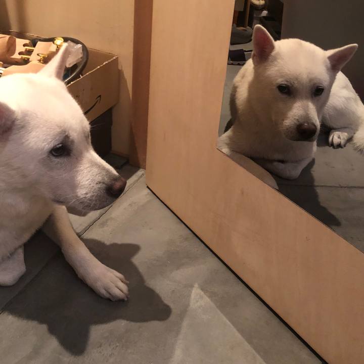 C7c695b8 0aba 4d02 8664 edf0ae09696a 1596018505189