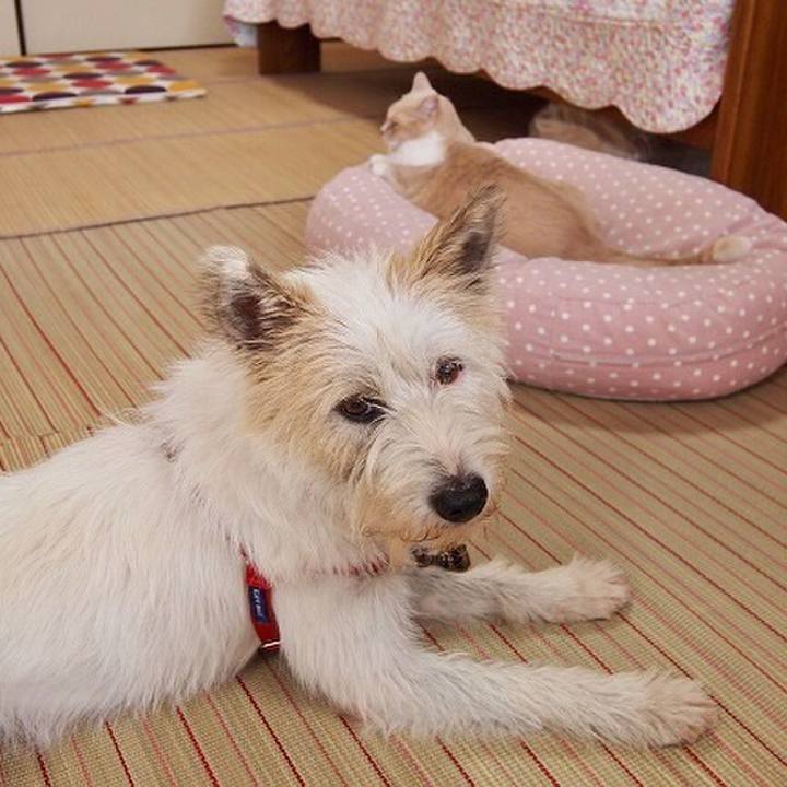 C7c69cf1 0e5f 4fd2 ade6 0ecf0566ba03 1565439749283