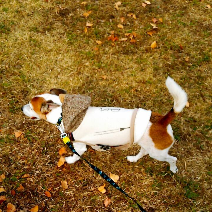 C7c6be23 a528 4130 b3d7 0611539c8770 1511682869360