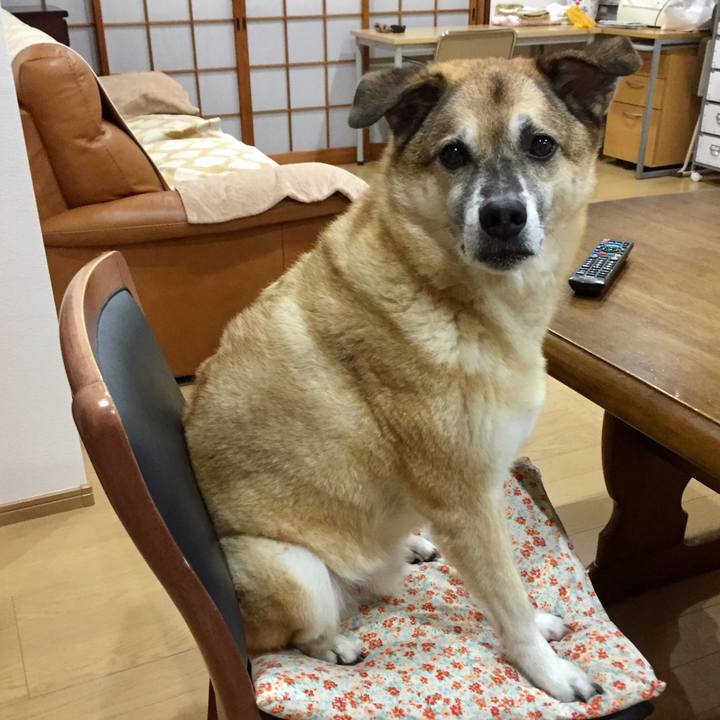 C7c6cac9 38aa 4912 bb9c 8a60144cb3a4 1571911037568