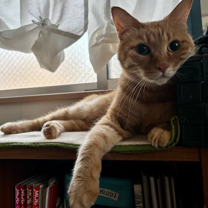 C7c6d153 15ef 46d2 9748 b72e3646ffc4 1758616185951