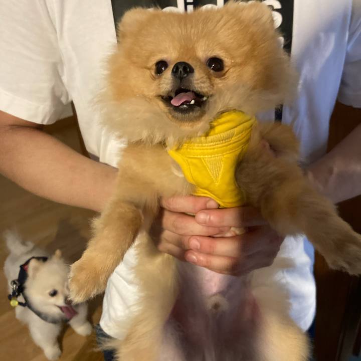 C7c6f5f4 afd2 4d44 a36e 0089cb2b81fb 1654983693788