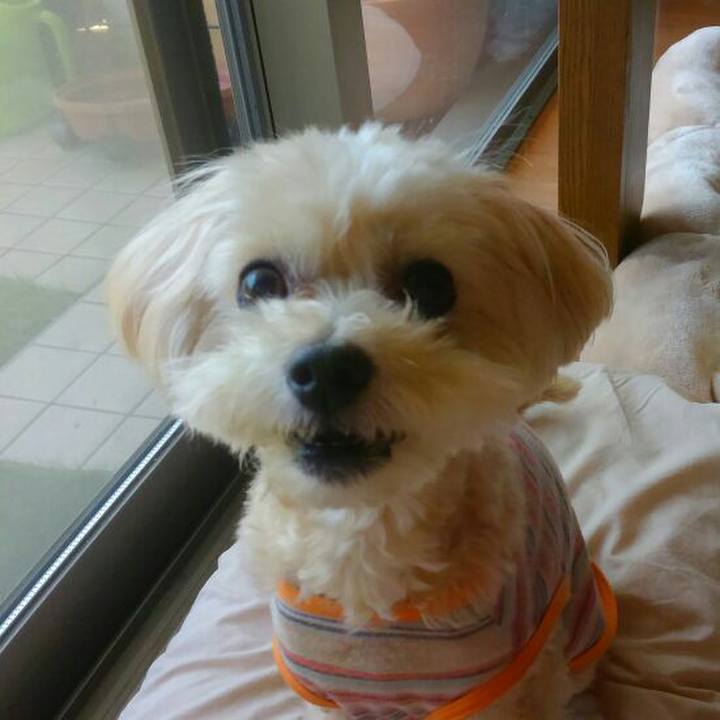 C7c70ad4 f854 4753 910f 605554b7cf2a 1530364861299