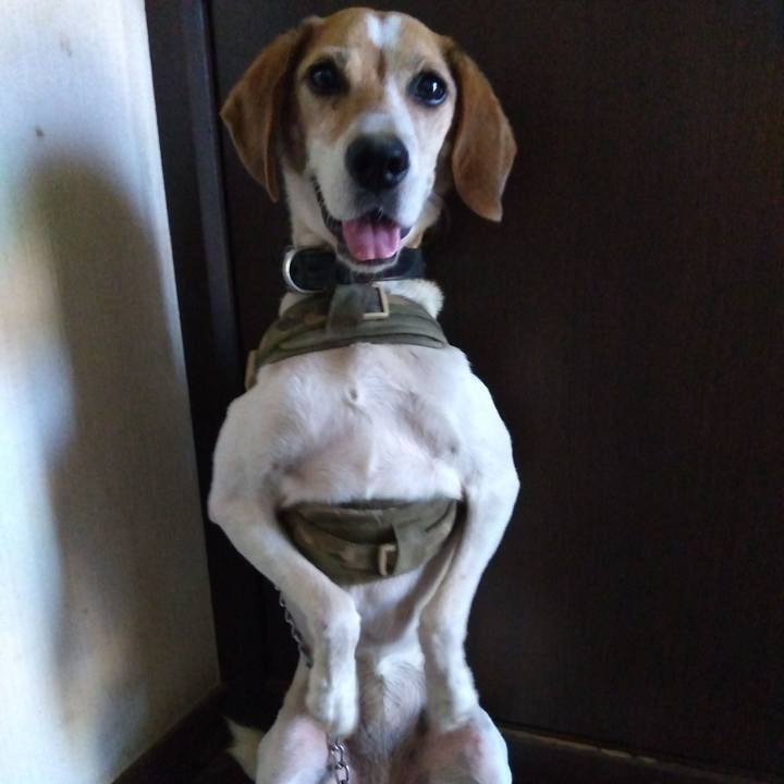 C7c74ba9 73a8 49c3 a92f 927d82505a49 1693750777876