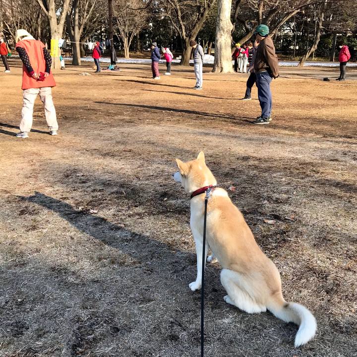 C7c78e6b 5c45 4f1f bafc e6cfc53abde8 1517357722715