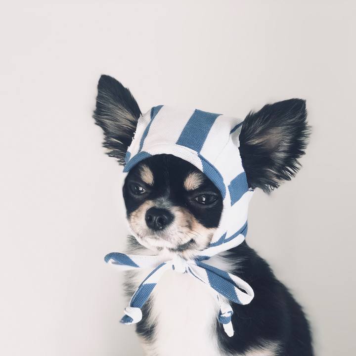 C7c7c1f7 b00a 431b a7b4 086b346ffcdc 1551046707262