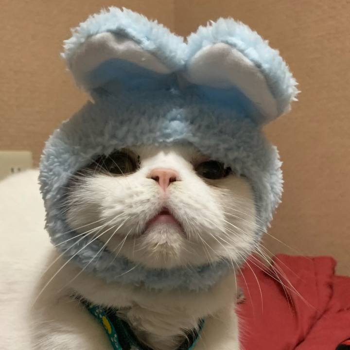 C7c7cf2a 8e91 4f02 8bc3 940ce8a0d32d 1672824226683