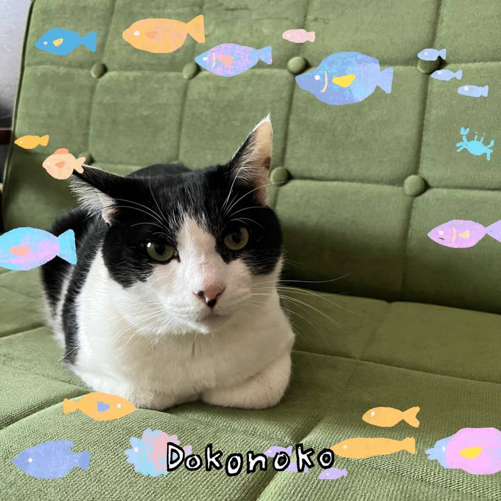 C7c7d0c3 e568 46d7 bf11 6e424b4366d9 1755157211081