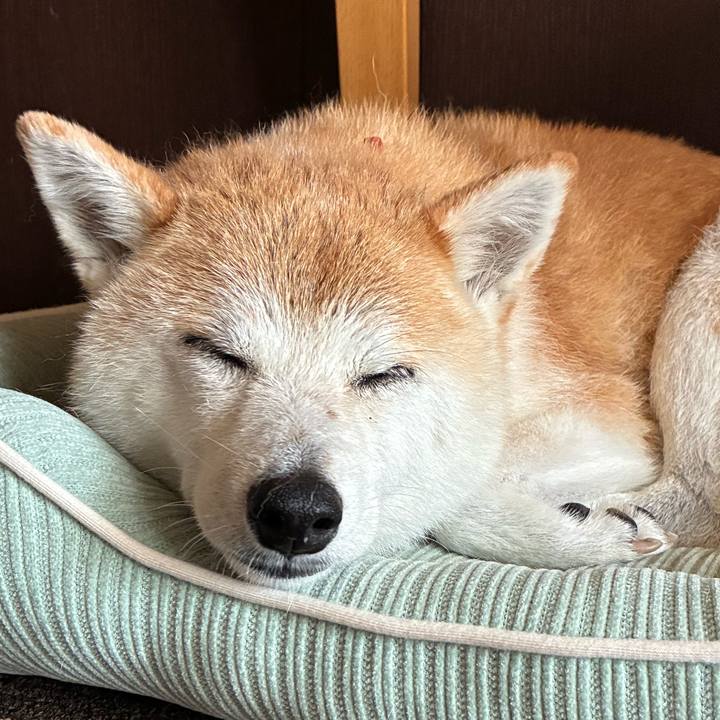 C7c7e4de 2a75 4a31 b41d 4c28788013c3 1757930320609