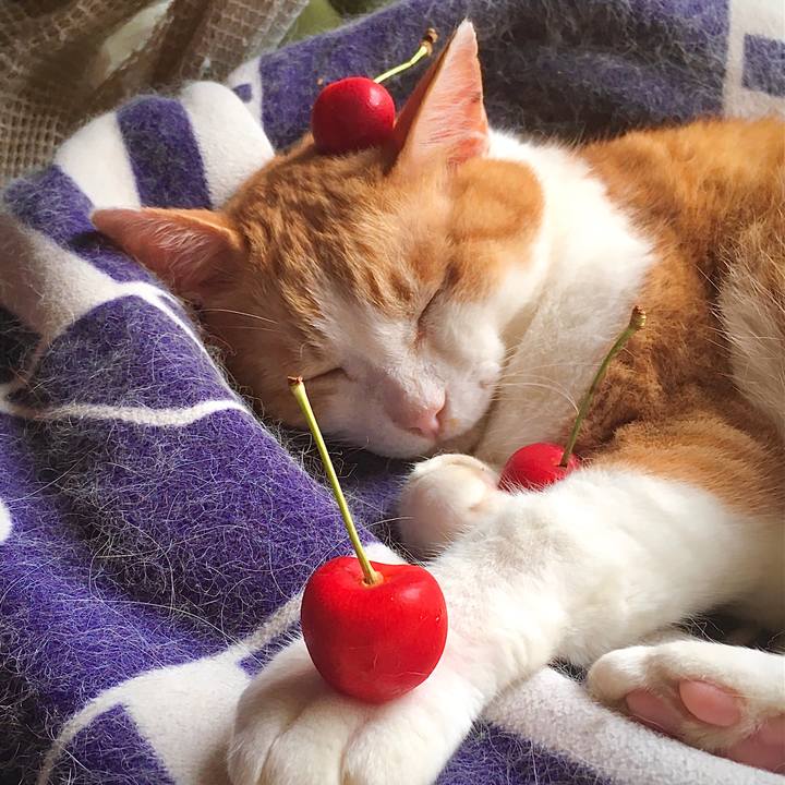 C7c7f035 d887 497e ba98 c3801f6178a9 1594352517195