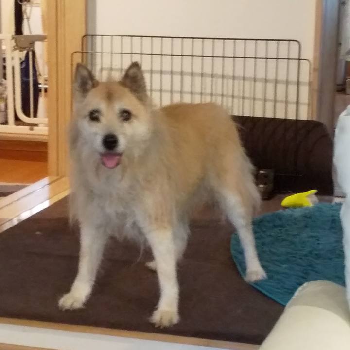 C7c8332a 7228 422d bf15 61818df4d6b7 1589867400592