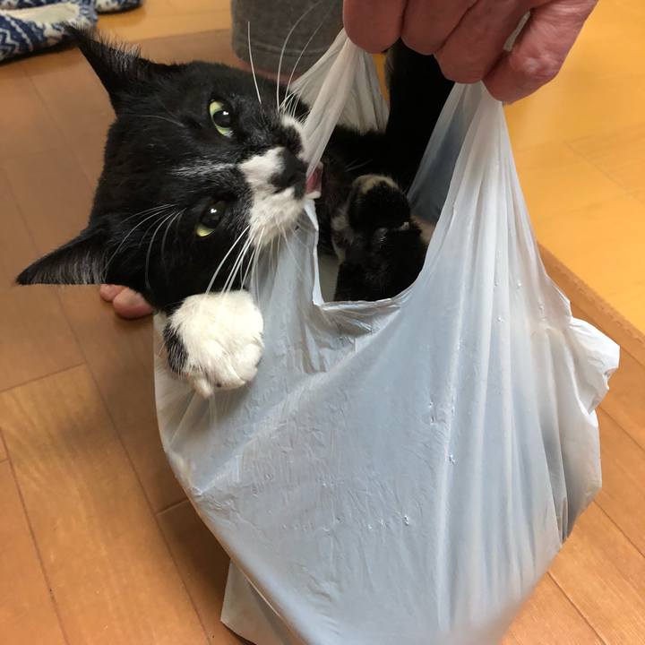 C7c846d9 b21c 4748 8d5d 0b6d8a32ad61 1518938958414