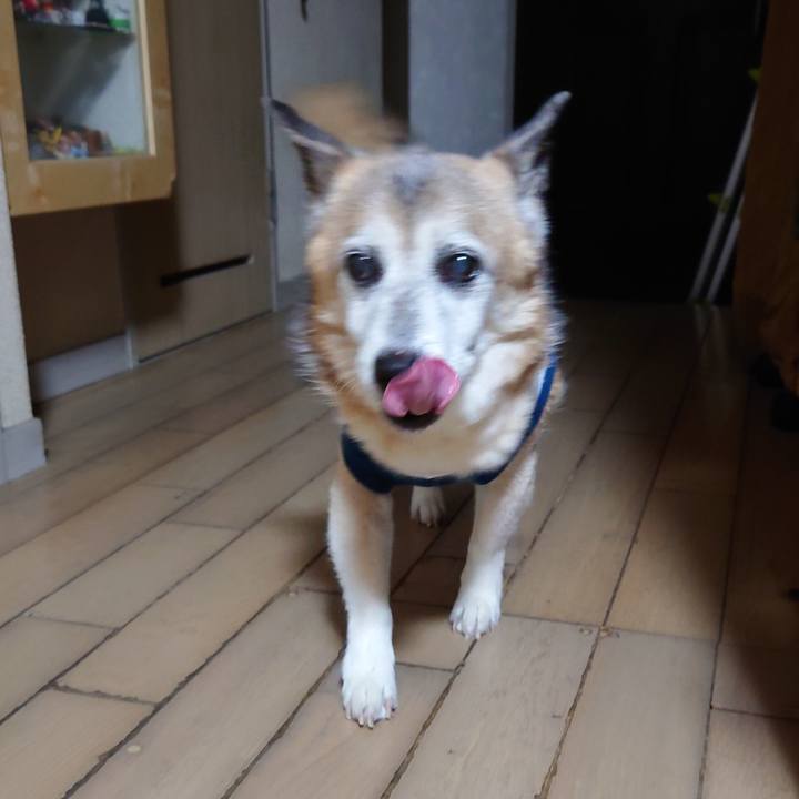 C7c85b97 d50f 45f1 86c1 d9fc358615a5 1723388312120