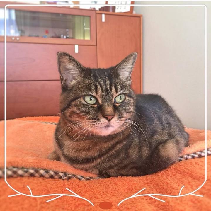 C7c85da7 3ffe 4575 b3b3 323717092208 1766665766643