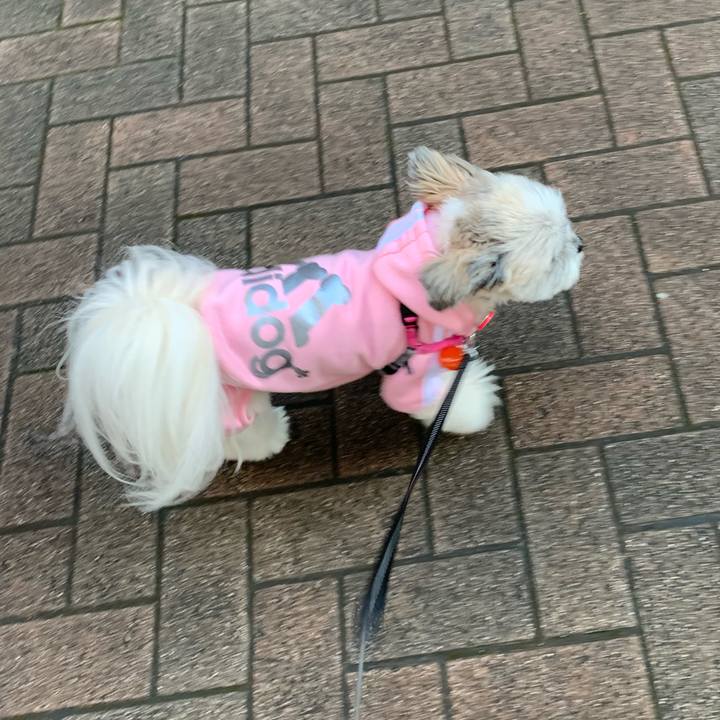 C7c86beb c97b 4307 9340 511520c79b55 1579833244687