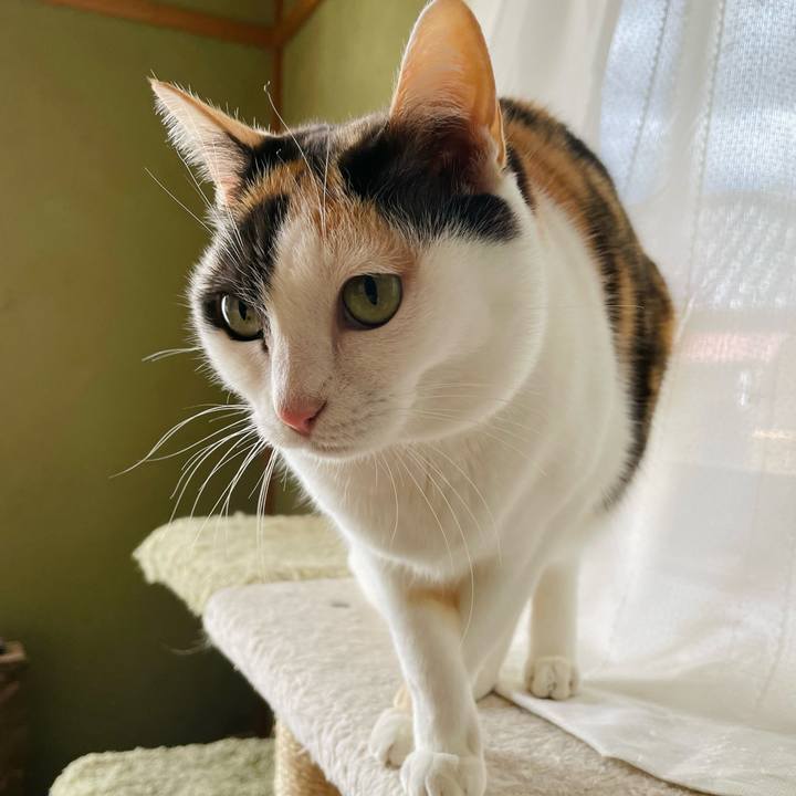 C7c880a5 4e15 4aa7 bf4f c95eea1cd291 1644456385629