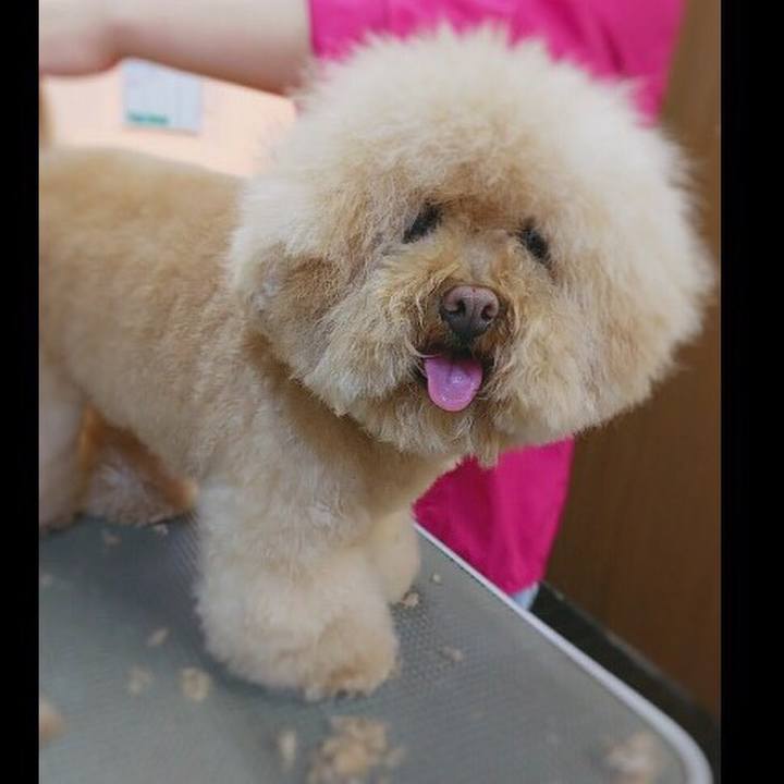 C7c88ec1 f6f6 43e9 a584 6bb83308b85e 1525674685459