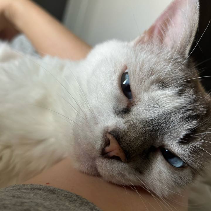 C7c895a7 270d 4a51 8b09 2cc19bc3e710 1751329428042