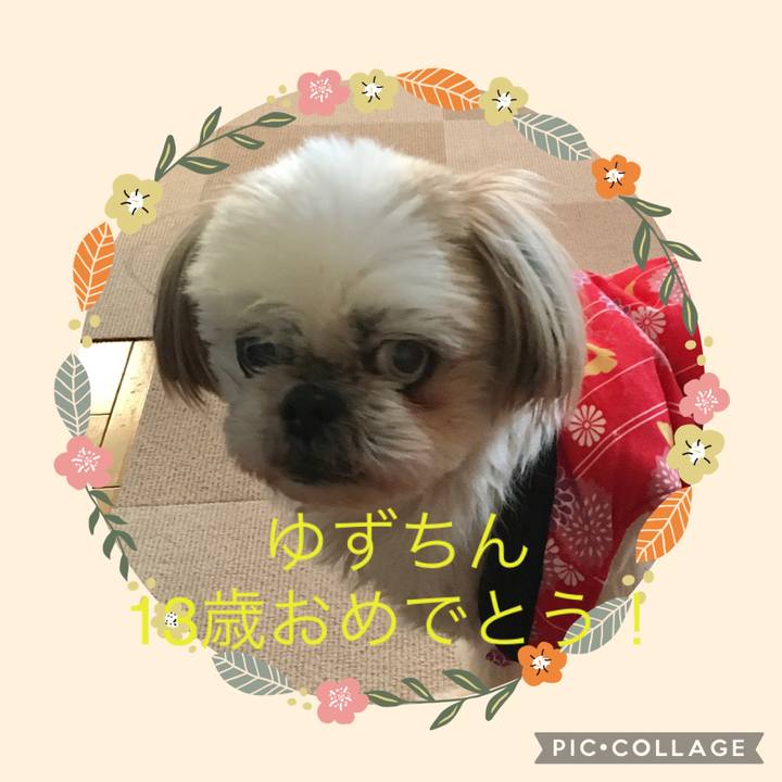 C7c89779 5c21 465b afae ca05fbac24b4 1647059037633