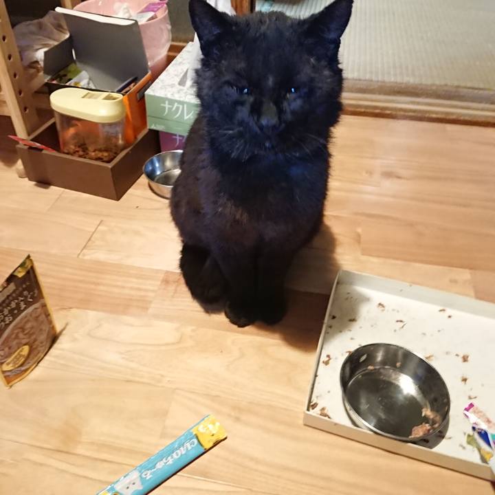 C7c8b390 1ae5 4284 8755 87cfeb9acb04 1622039791691