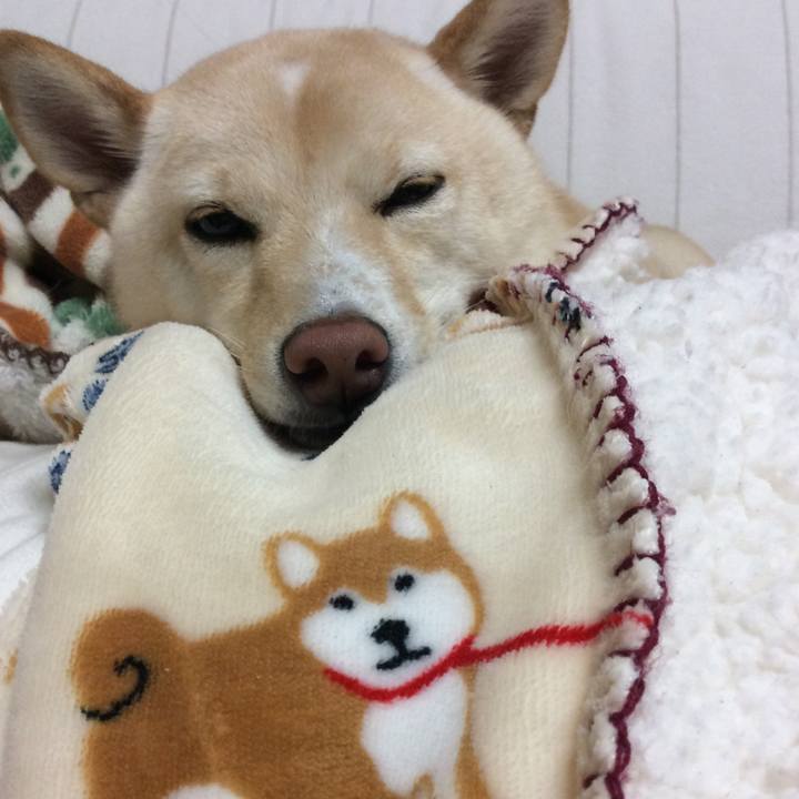 C7c8bc07 da11 4748 9f3c c0ddbfb2895d 1538053750934