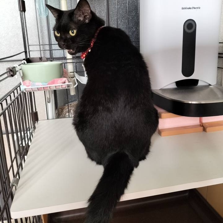 C7c9050e a1d2 4701 ac97 5bb81d0504d7 1659740789013