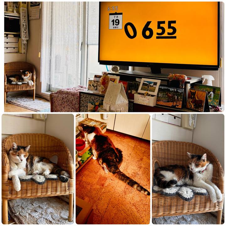 C7c90678 210d 4304 bedb 9aef7cd1eefa 1721343536766