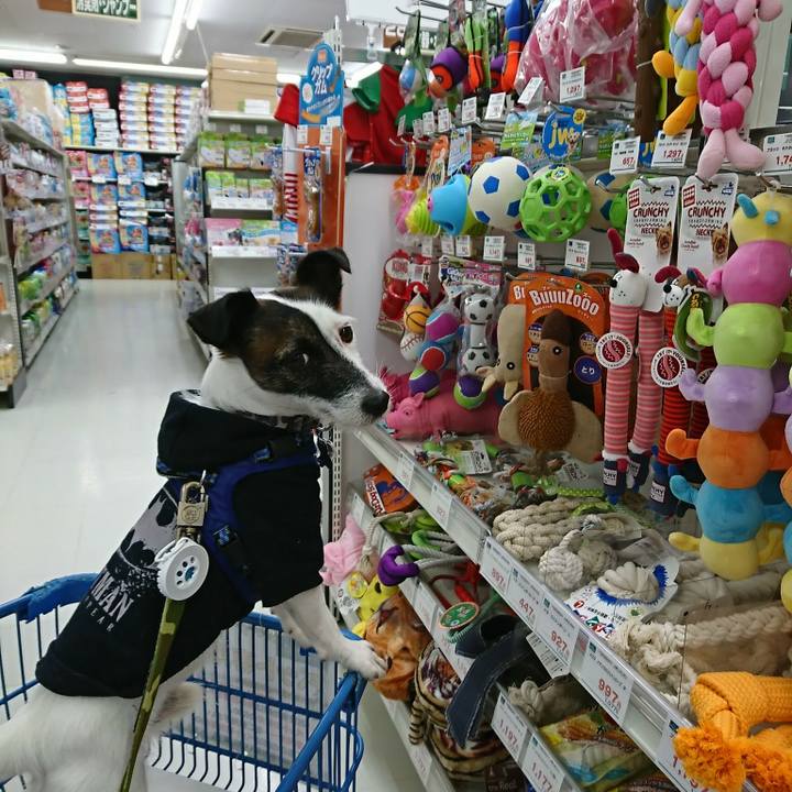 C7c9142a b622 40ef 9997 2f07136af3f8 1511949346889