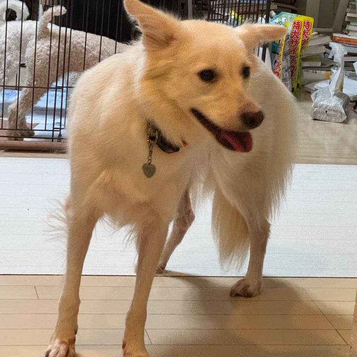 C7c92033 2da7 4690 99e4 155123eb0401 1760709888970