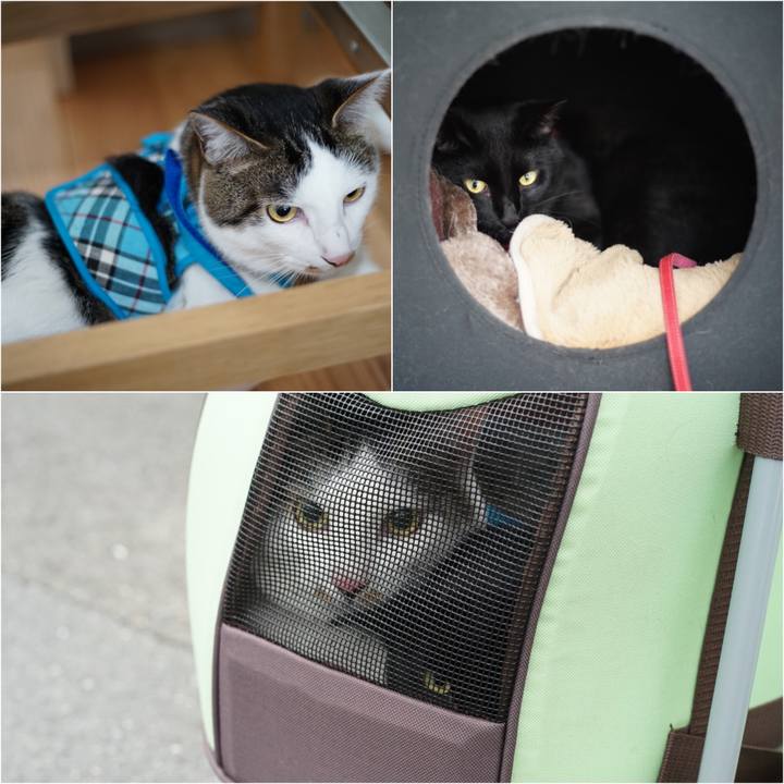 C7c9bca2 e8a1 4dc2 8811 a7fe6e53d661 1530932241296