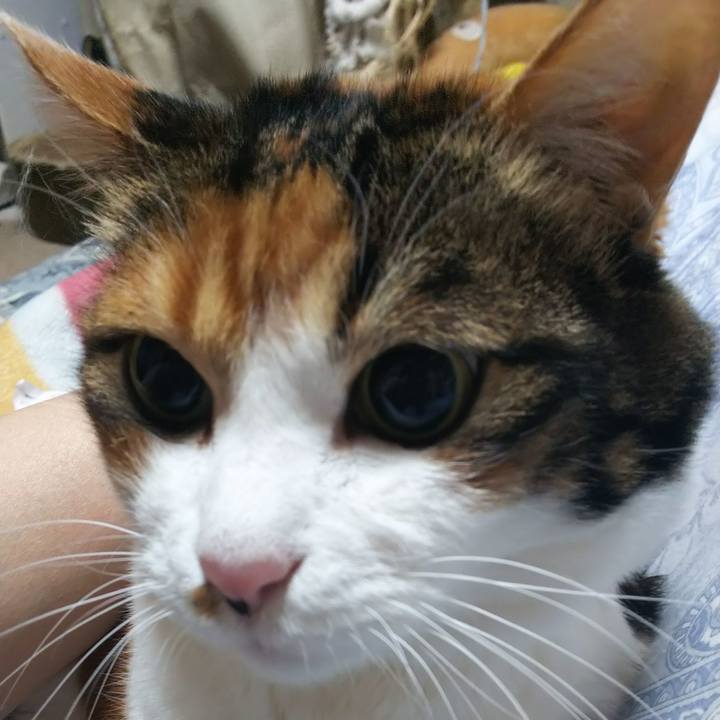 C7c9c2a9 b6fd 410d 87ed 3f96a91bf6d6 1575323488720