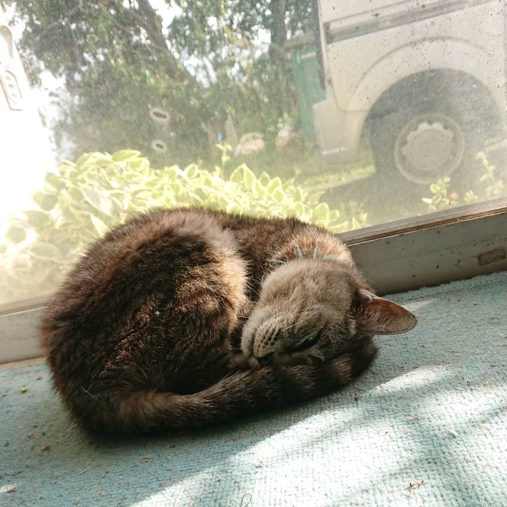 C7c9c7eb ace9 4a21 a6cf 2642eba2bc93 1570252744795