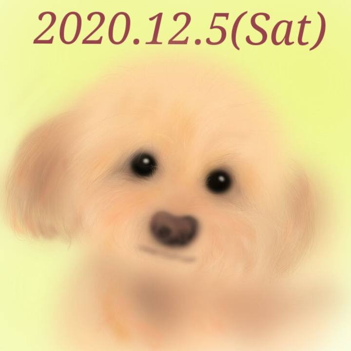 C7c9e67e 84f1 4299 a34e 54cc2ad95417 1607168824355
