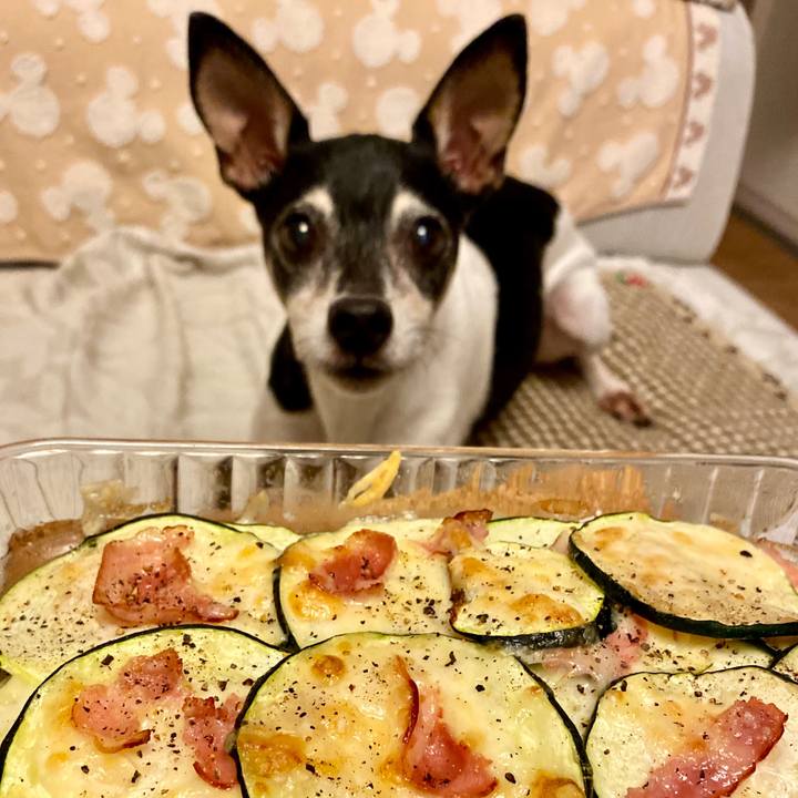 C7ca1692 c711 468f b529 7a73a3f765b6 1597666601277