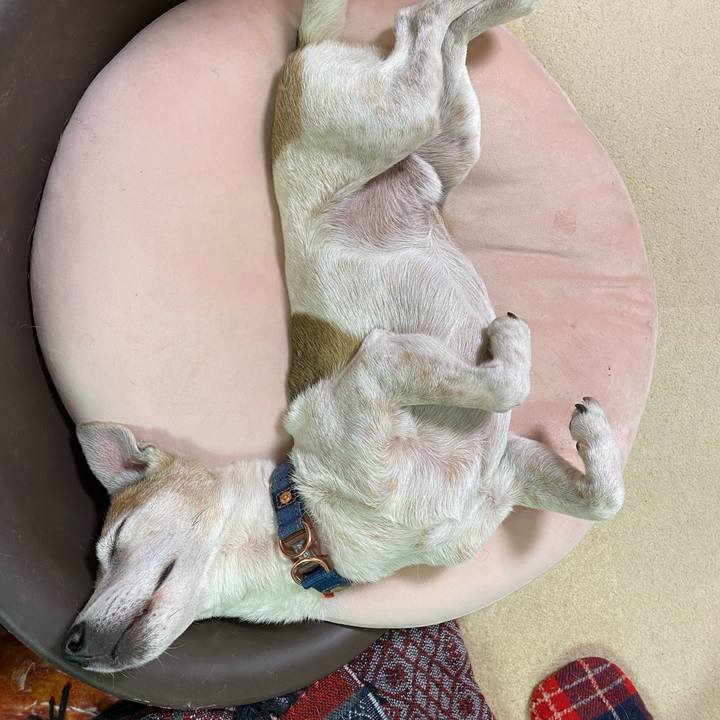 C7ca1d64 6561 497c 96e5 f01c7f5dc7c7 1610719689830