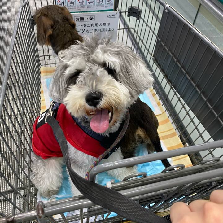 C7ca3acc 758c 4ca8 8e77 a5674ac88f7d 1622881541259