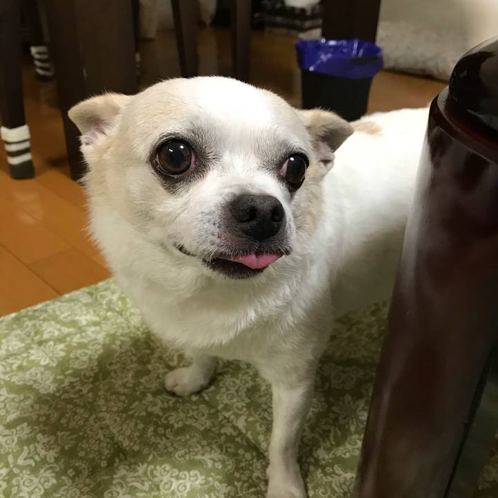 C7ca3bcd 3936 4b7c 9dae cbbab3c57fd6 1533559843878