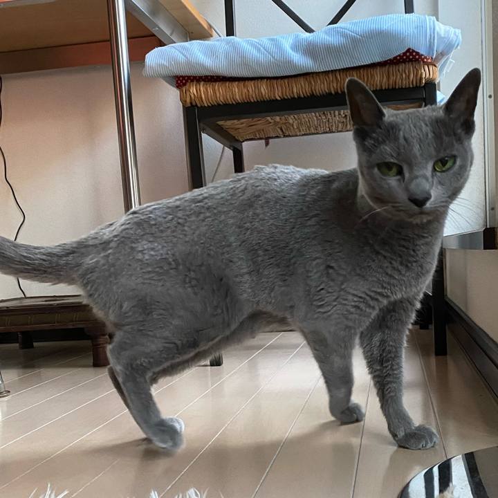 C7ca5b55 4de6 4b12 9342 dab5c7ac58f7 1587563872597