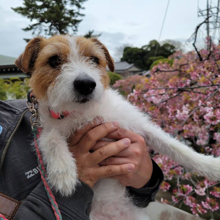 C7ca8288 7f28 44c2 9d01 d9d38d295a96 1686026650881