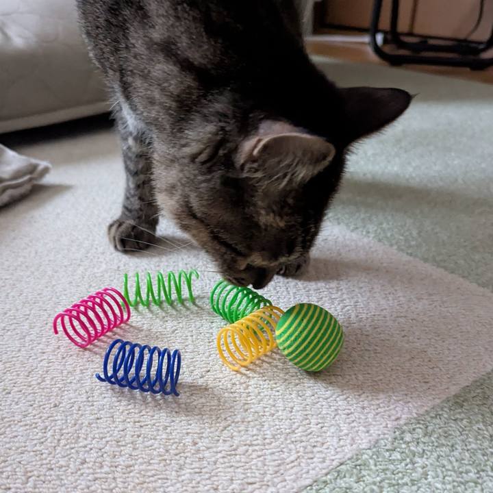 C7ca9d0f aa5e 4bf7 b0af 55f6e8d6eb76 1742537971197