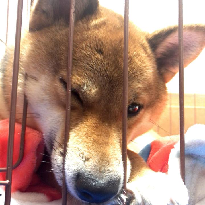 C7caa561 6c79 4157 a24e b638eea09703 1525820725181