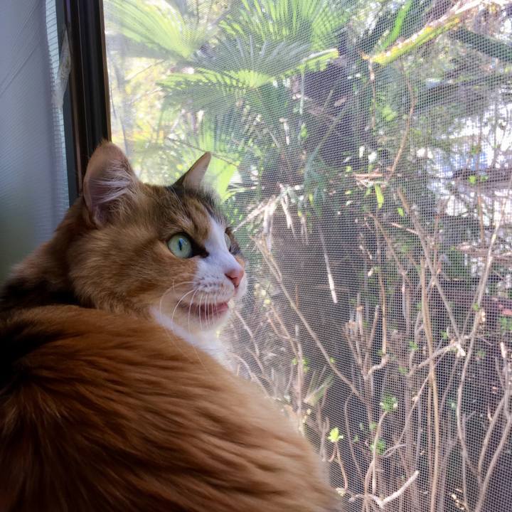 C7cad966 da47 482a a6bf 42c503545ddf 1553829936583