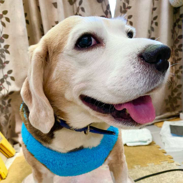 C7cae607 5494 42ba 8d2a 8ac86a5f6d61 1610942111542