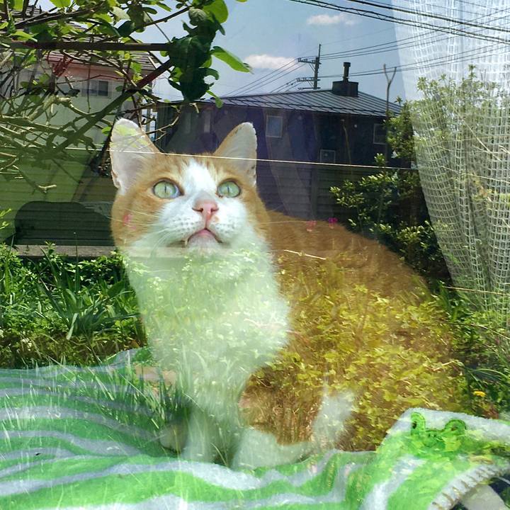 C7caea40 e70c 4480 b421 3b7da2e8329c 1626683390074